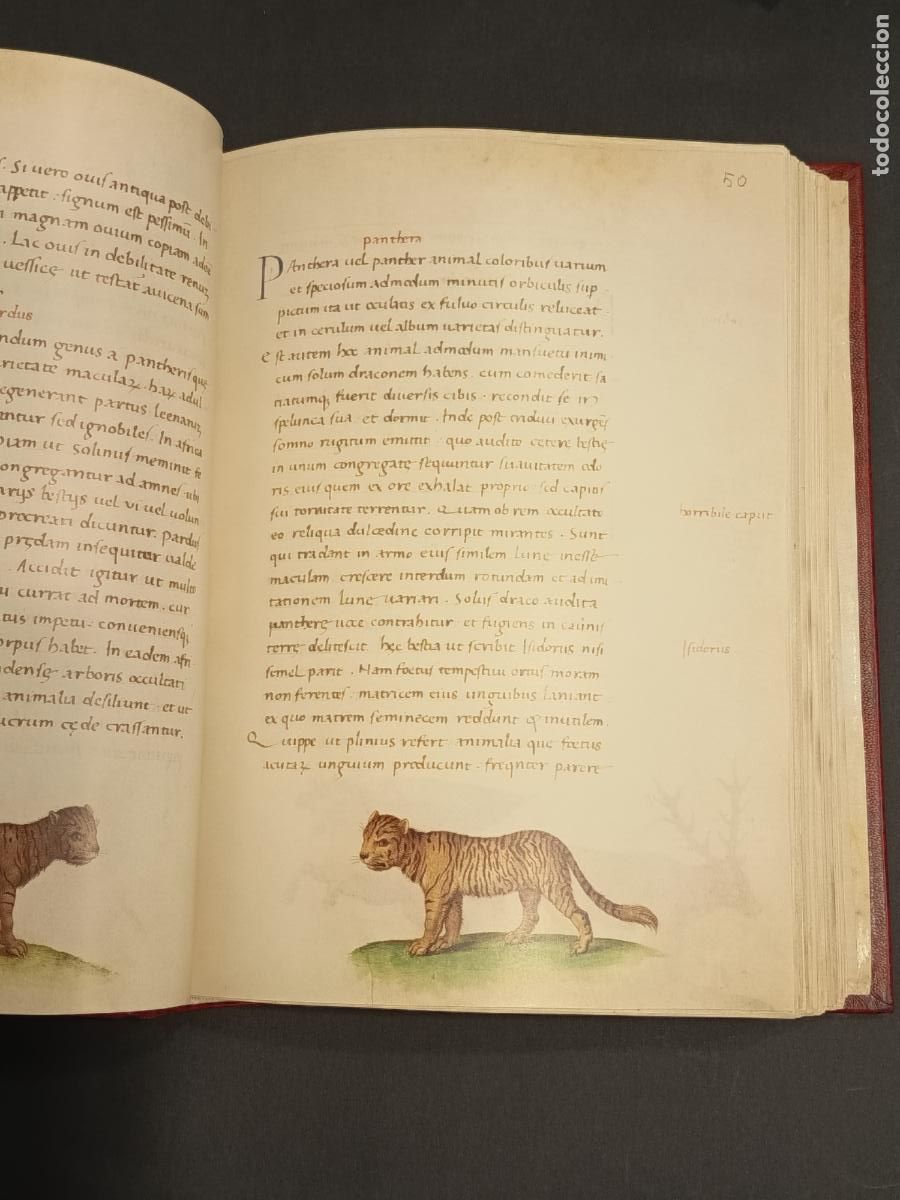 Libros de segunda mano: Libro de los animales de Pierre C&aacute;ndido - C&oacute;dice Urbinas Latinus 276 - Facs&Iacute;mil y libro estudi0 - Foto 6