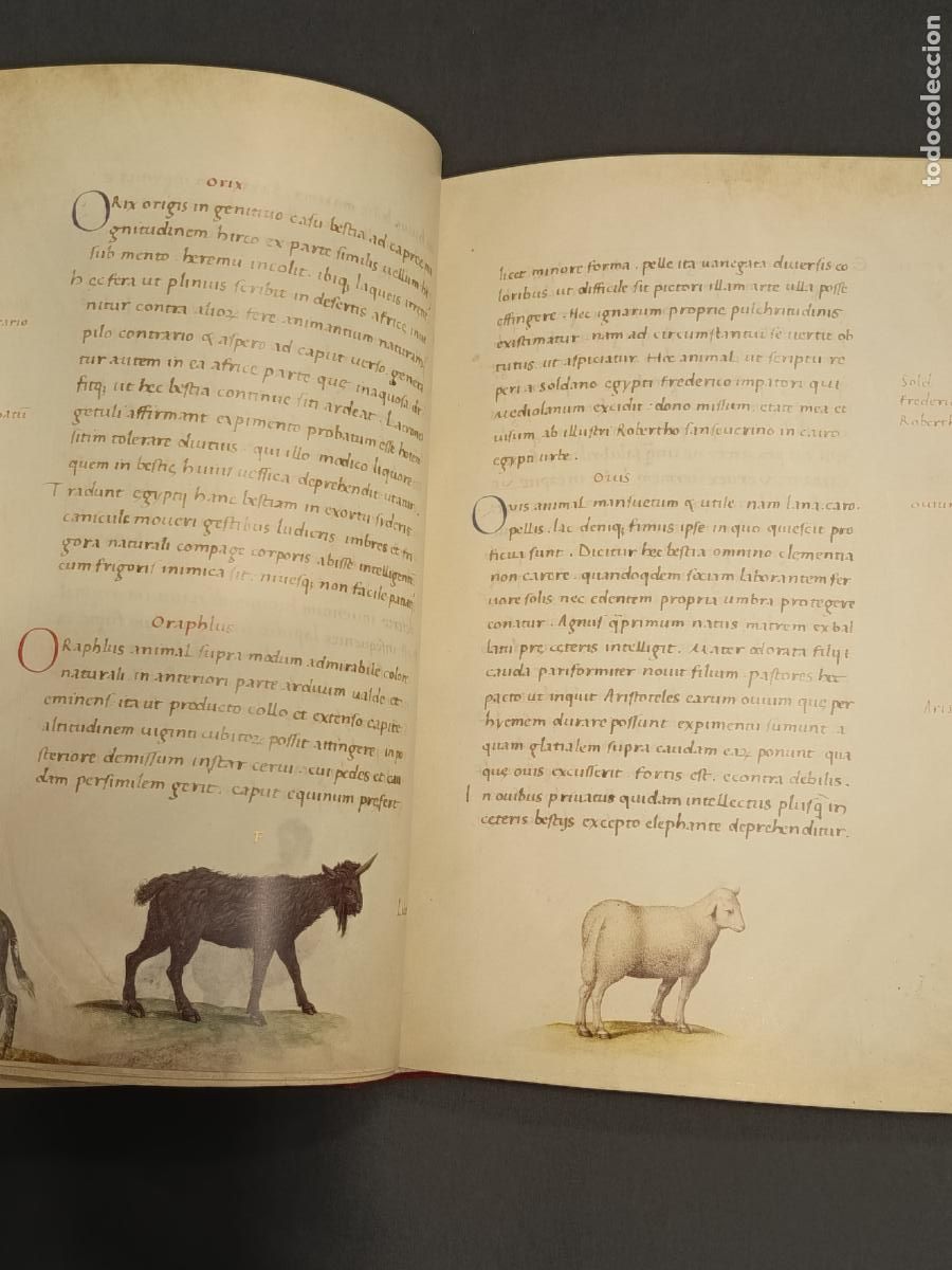 Libros de segunda mano: Libro de los animales de Pierre C&aacute;ndido - C&oacute;dice Urbinas Latinus 276 - Facs&Iacute;mil y libro estudi0 - Foto 7