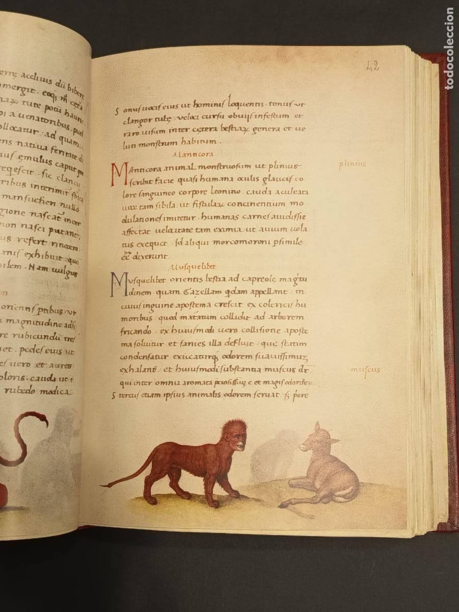 Libros de segunda mano: Libro de los animales de Pierre C&aacute;ndido - C&oacute;dice Urbinas Latinus 276 - Facs&Iacute;mil y libro estudi0 - Foto 8