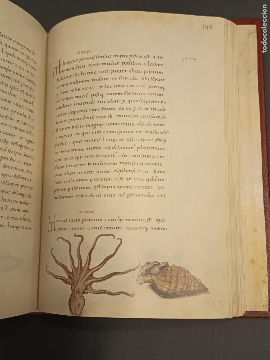 Libros de segunda mano: Libro de los animales de Pierre C&aacute;ndido - C&oacute;dice Urbinas Latinus 276 - Facs&Iacute;mil y libro estudi0 - Foto 9