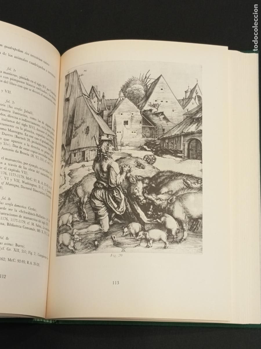 Libros de segunda mano: Libro de los animales de Pierre C&aacute;ndido - C&oacute;dice Urbinas Latinus 276 - Facs&Iacute;mil y libro estudi0 - Foto 13