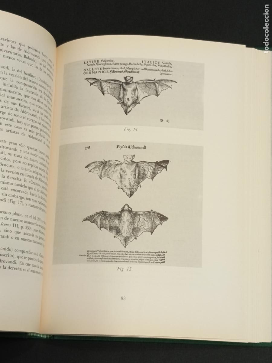 Libros de segunda mano: Libro de los animales de Pierre C&aacute;ndido - C&oacute;dice Urbinas Latinus 276 - Facs&Iacute;mil y libro estudi0 - Foto 14