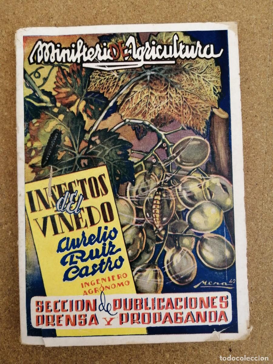 Libros de segunda mano: INSECTOS DEL VI&Ntilde;EDO (AURELIO RUIZ CASTRO) - Foto 1