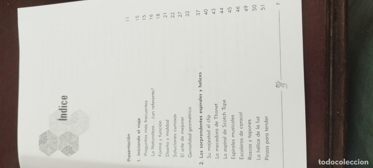 Libros de segunda mano de ciencias: GEOMETRIA COTIDIANA / CLAUDI ALSINA / PU-B&Ntilde;-2 / RUBES - Foto 9