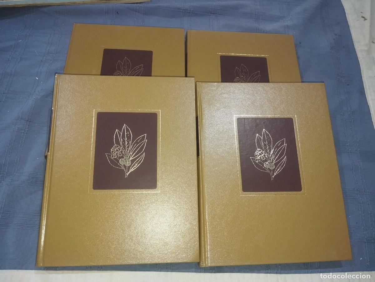Libros de segunda mano: FLORA DE MALLORCA. FRANCESC BONAF&Eacute;. 4 TOMOS. COMPLETO - Foto 2