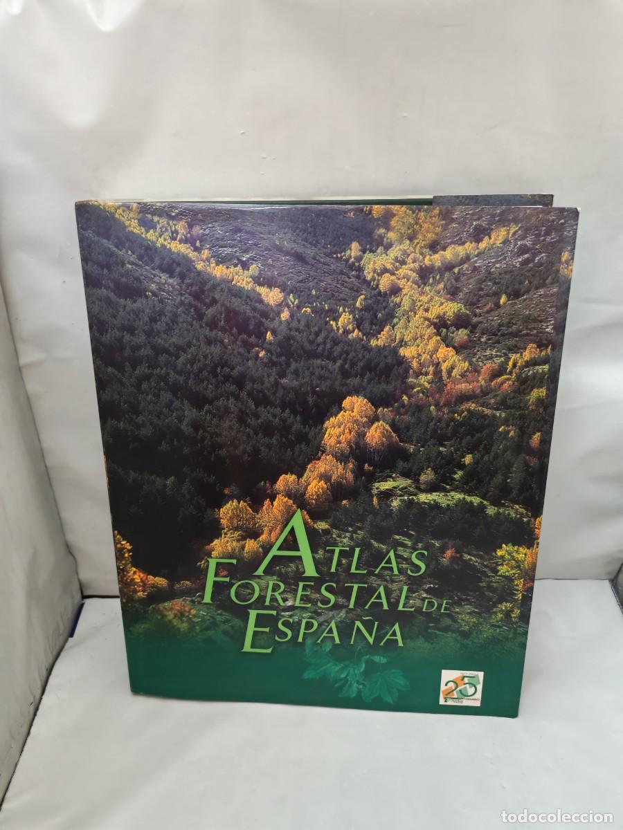 Second hand books: Atlas Forestal de Espa&ntilde;a (Tragsa 25 Aniversario, Primera edici&oacute;n tapa dura)