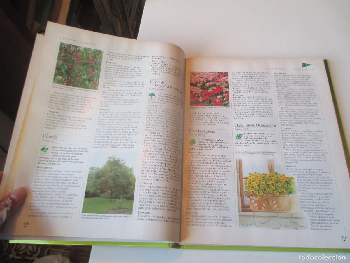 Libros de segunda mano: El libro de oro de las plantas y los jardines W40654 - Foto 2