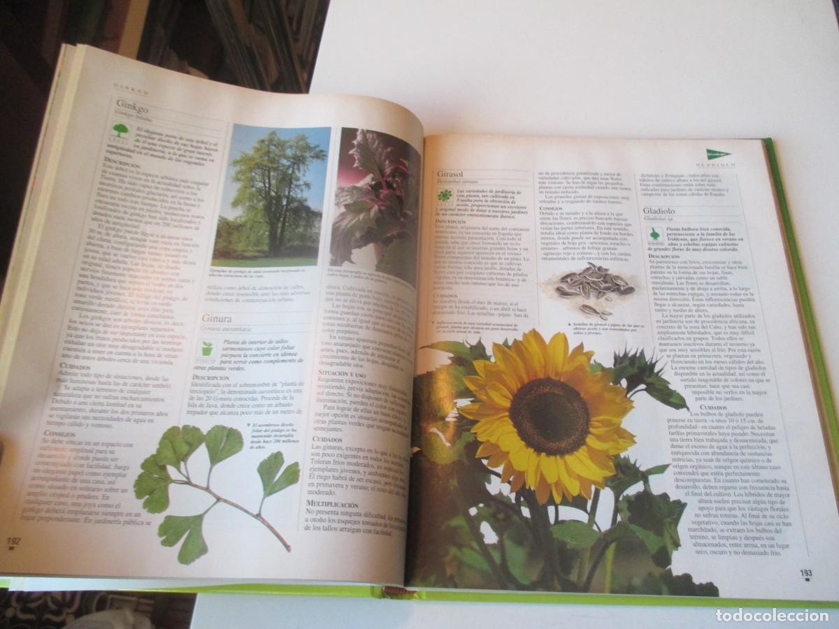 Libros de segunda mano: El libro de oro de las plantas y los jardines W40654 - Foto 3