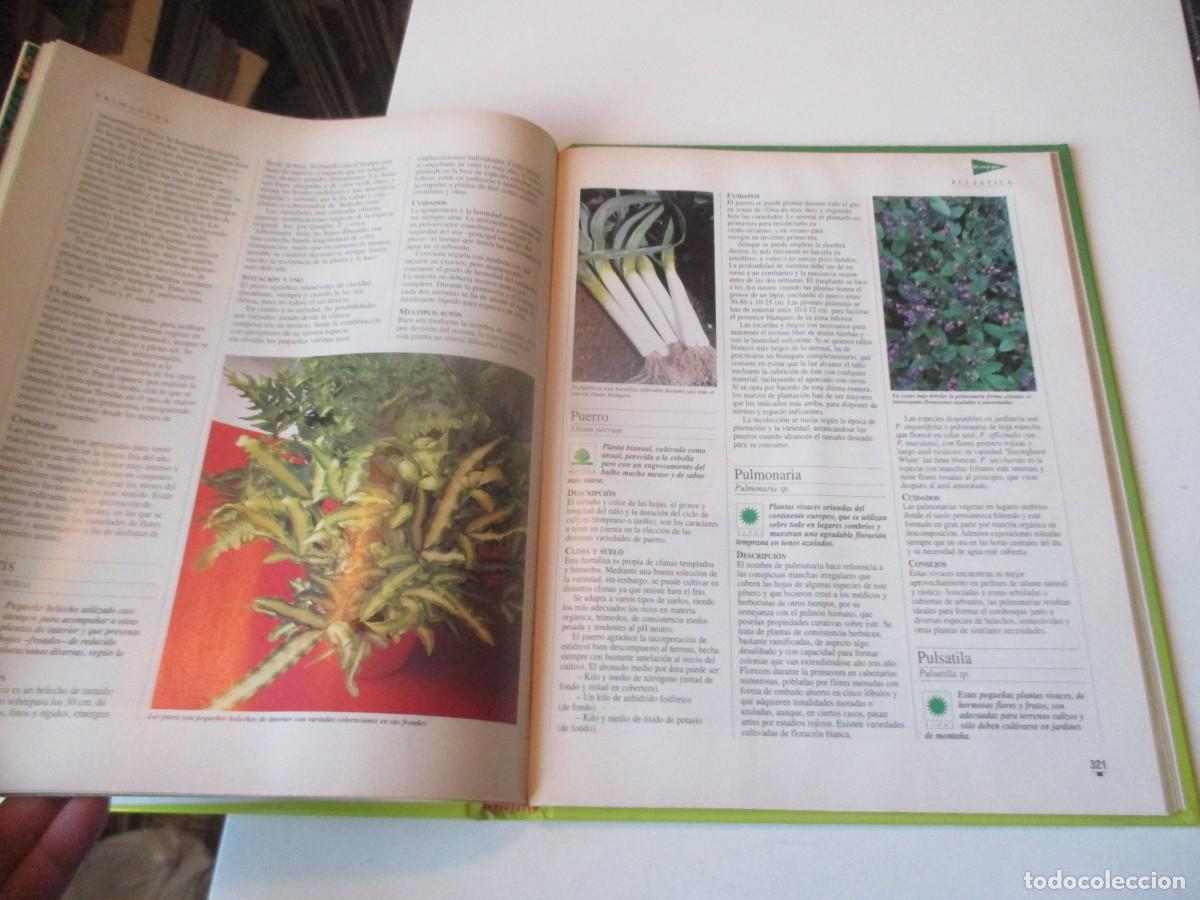 Libros de segunda mano: El libro de oro de las plantas y los jardines W40654 - Foto 4