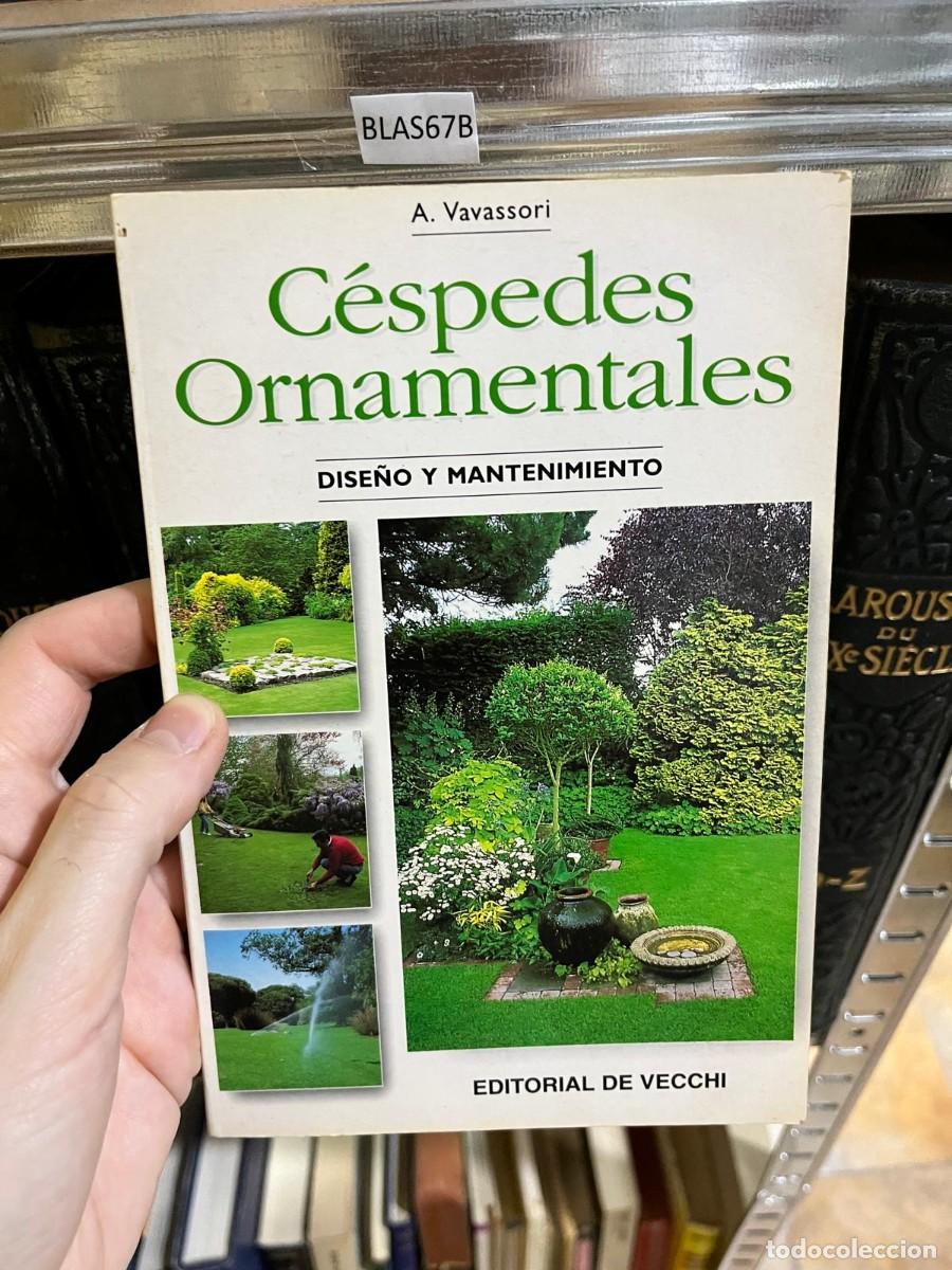 Second hand books: BLAS67B &ndash; C&eacute;spedes Ornamentales. Dise&ntilde;o y mantenimiento &ndash; A. Vavassori &ndash; Editorial De Vecchi &ndash; Jardi