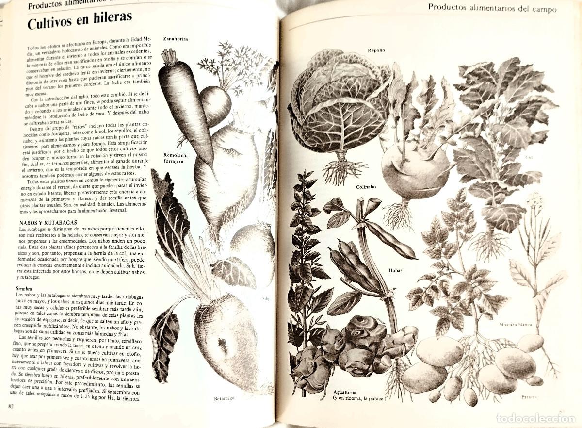 Libros de segunda mano: LA VIDA EN EL CAMPO Y EL HORTICULTOR AUTOSUFICIENTE - Foto 5