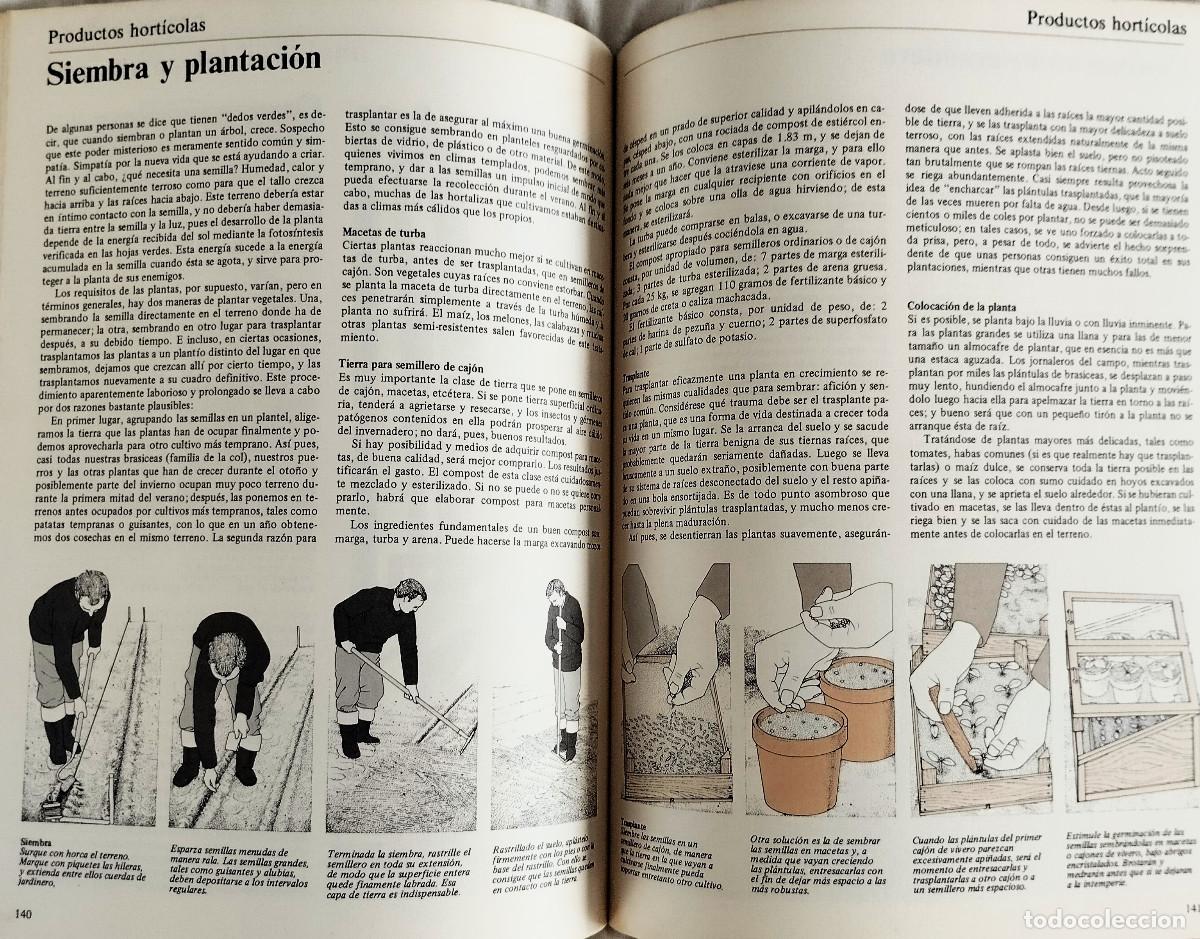 Libros de segunda mano: LA VIDA EN EL CAMPO Y EL HORTICULTOR AUTOSUFICIENTE - Foto 7