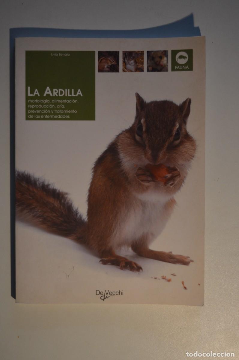 Libros de segunda mano: LIBRO LA ARDILLA LIVIA BENATO ALIMENTACI&Oacute;N REPRODUCCI&Oacute;N CR&Iacute;A PREVENCI&Oacute;N TRATAMIENTO ENFERMEDADES