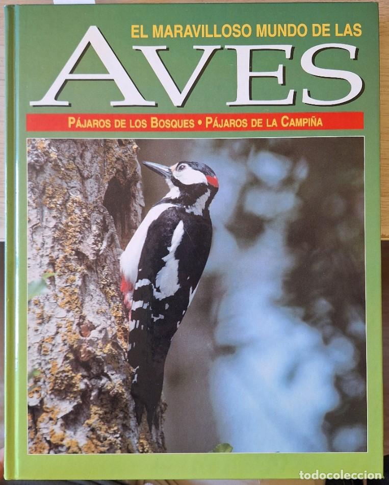 Libros de segunda mano: EL MARAVILLOSO MUNDO DE LAS AVES. PAJAROS DE LOS BOSQUES. PAJAROS DE LA CAMPI&Ntilde;A. -