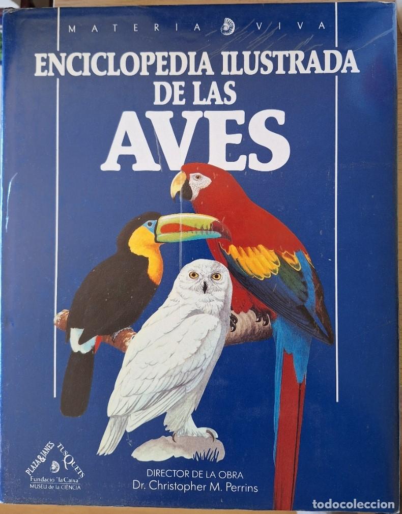 Libros de segunda mano: ENCICLOPEDIA ILUSTRADA DE LAS AVES. - PERRINS, Dr. Christopher.