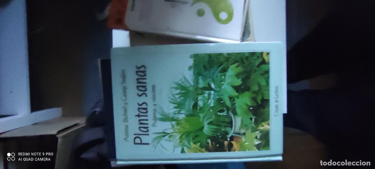 Libros de segunda mano: PLANTAS SANAS PROBLEMAS Y SOLUCIONES