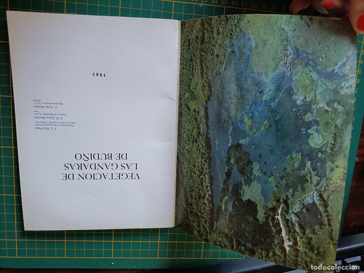Libros de segunda mano: VEGETACI&Oacute;N DE LAS G&Aacute;NDARAS DE BUDI&Ntilde;O. VV.AA. 1987 - Foto 2