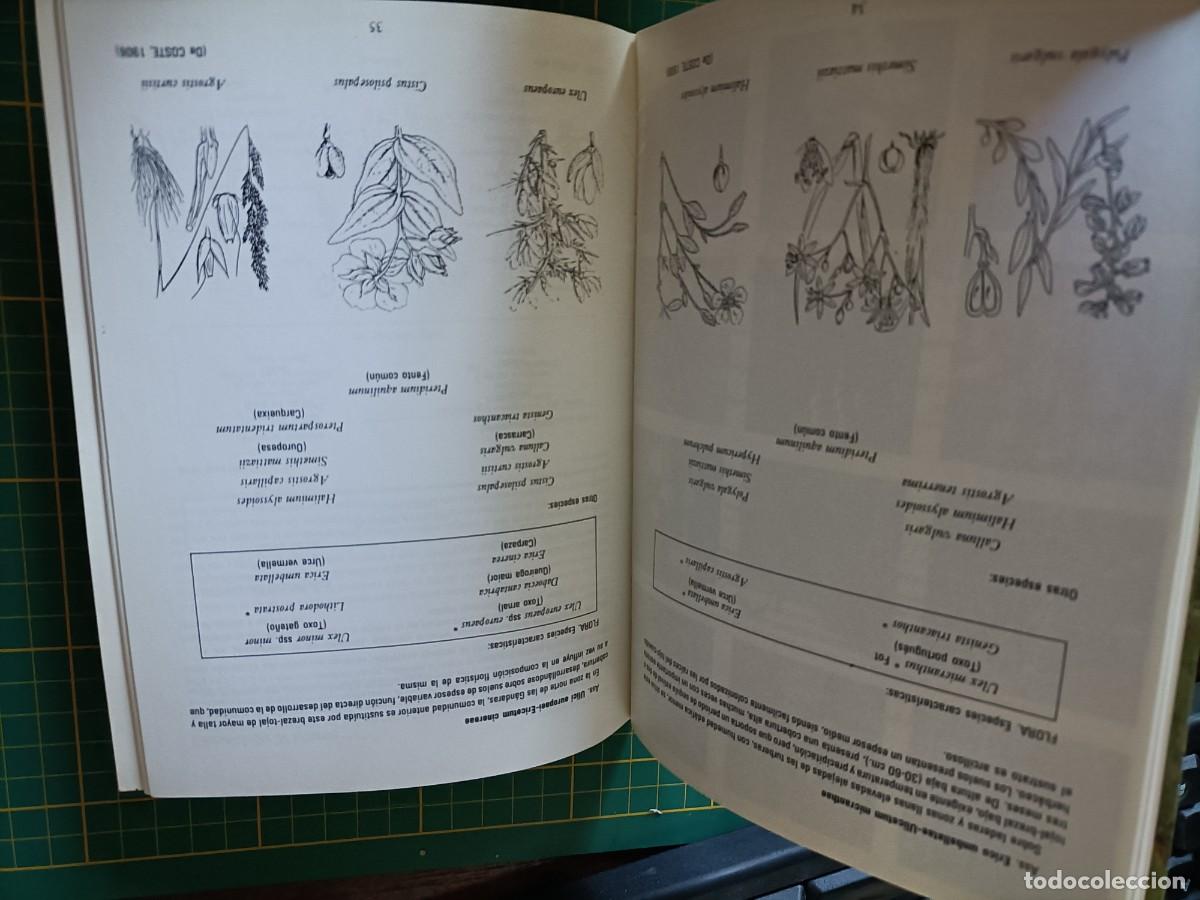 Libros de segunda mano: VEGETACI&Oacute;N DE LAS G&Aacute;NDARAS DE BUDI&Ntilde;O. VV.AA. 1987 - Foto 3