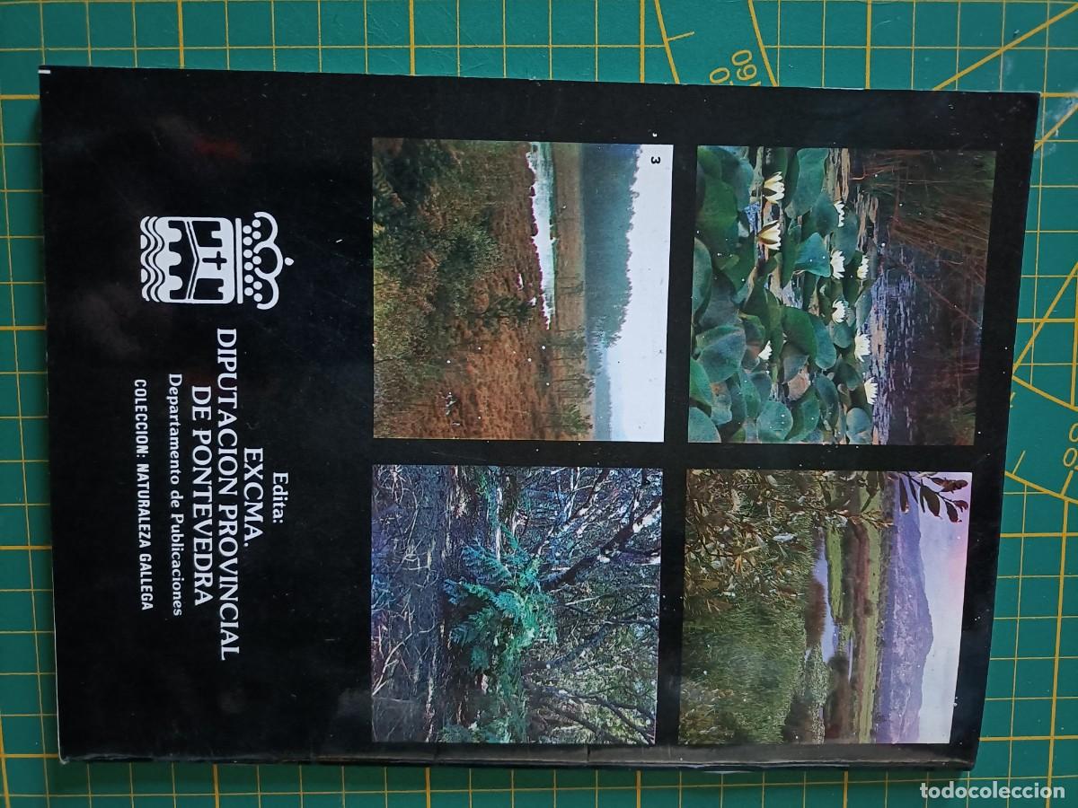 Libros de segunda mano: VEGETACI&Oacute;N DE LAS G&Aacute;NDARAS DE BUDI&Ntilde;O. VV.AA. 1987 - Foto 4