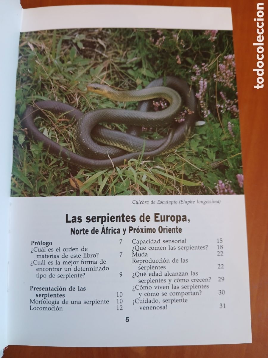 Libros de segunda mano: Serpientes. Ulrich Gruber. - Foto 4