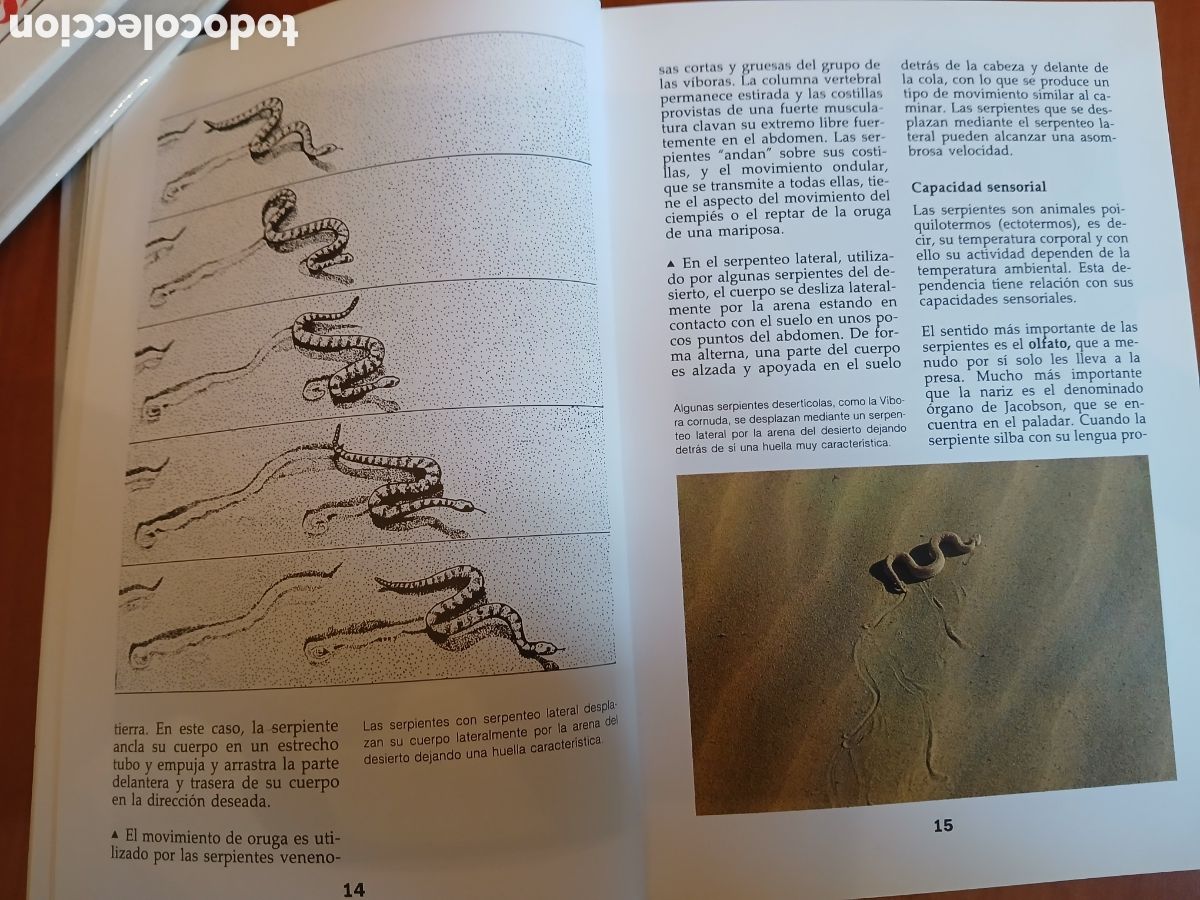 Libros de segunda mano: Serpientes. Ulrich Gruber. - Foto 6