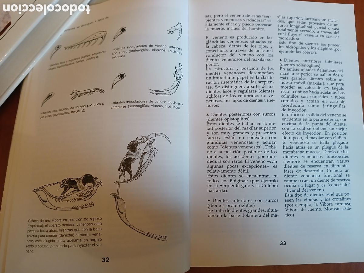 Libros de segunda mano: Serpientes. Ulrich Gruber. - Foto 7