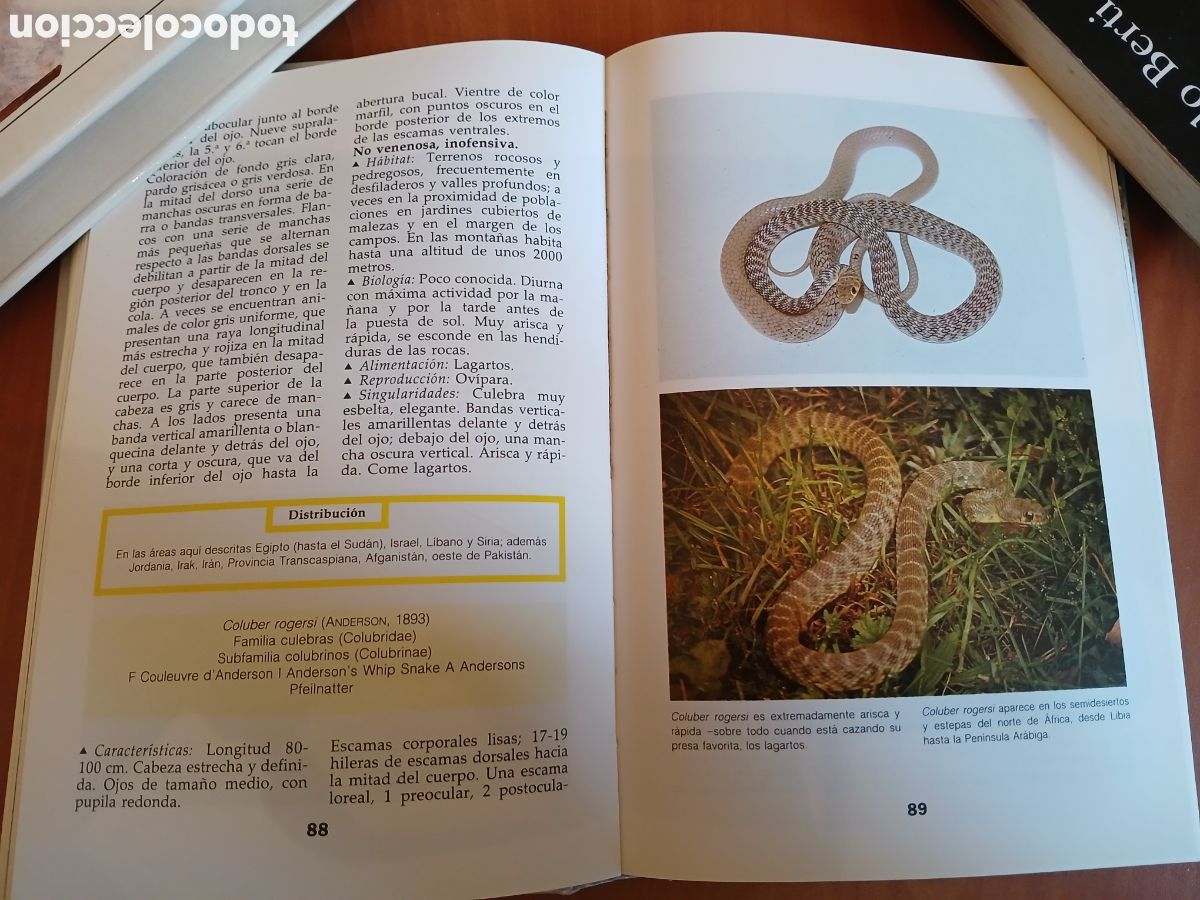 Libros de segunda mano: Serpientes. Ulrich Gruber. - Foto 8
