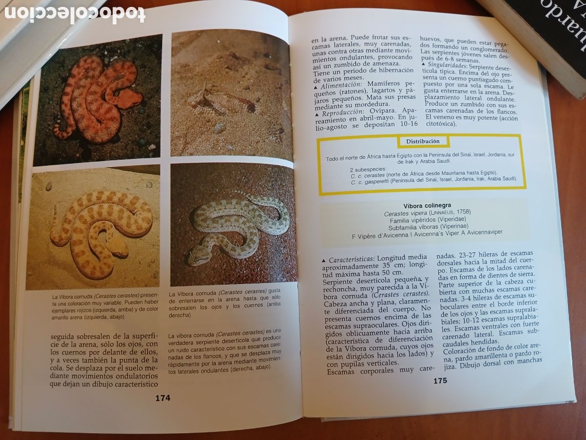 Libros de segunda mano: Serpientes. Ulrich Gruber. - Foto 10