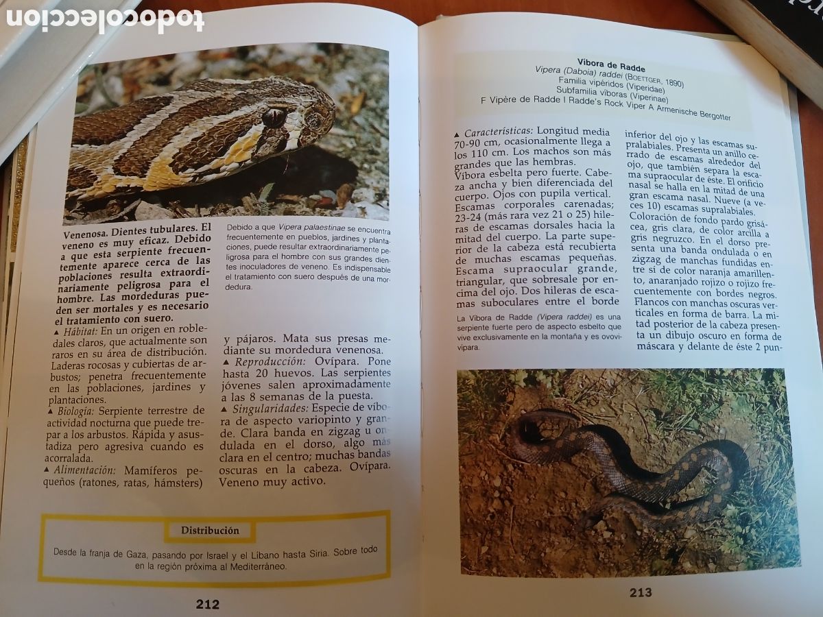 Libros de segunda mano: Serpientes. Ulrich Gruber. - Foto 12
