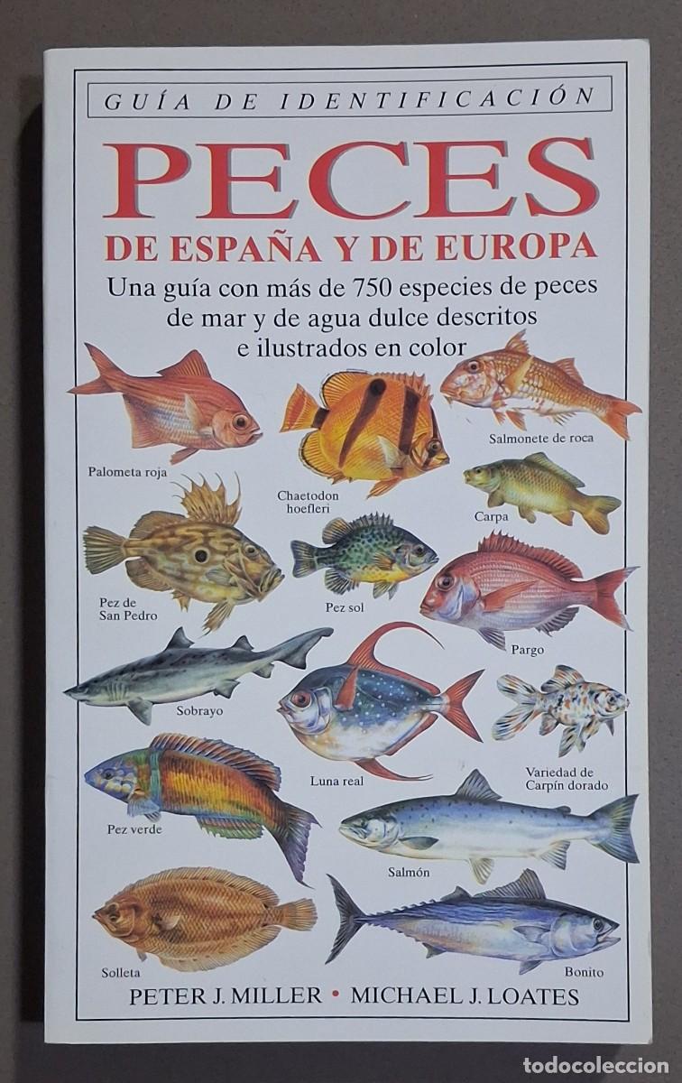 Libros de segunda mano: Peces de Espa&ntilde;a y de Europa. Gu&iacute;a de identificaci&oacute;n. Peter J. Miller & Michael J. Loates. Omega 1999