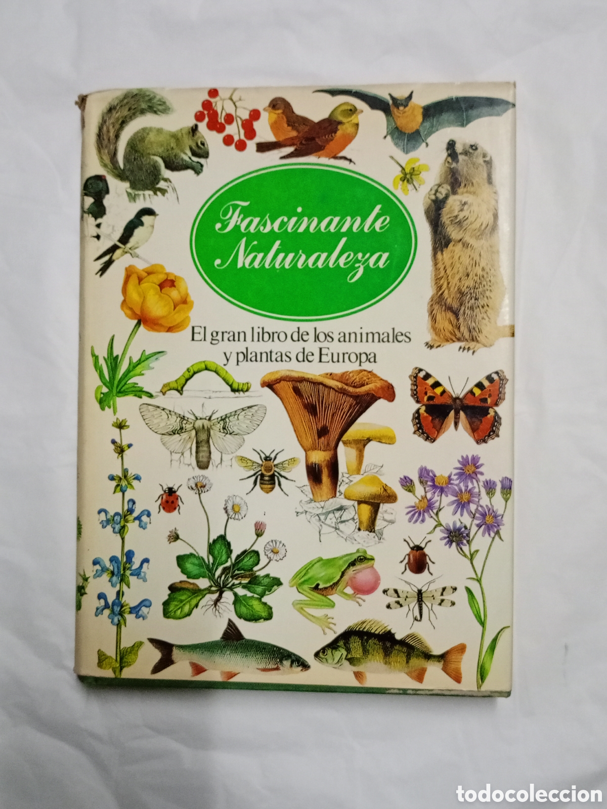 Libros de segunda mano: FASCINANTE NATURALEZA EL LIBRO DE LOS ANIMALES Y PLANTAS DE EUROPA - CIRCULO DE LECTORES 1983