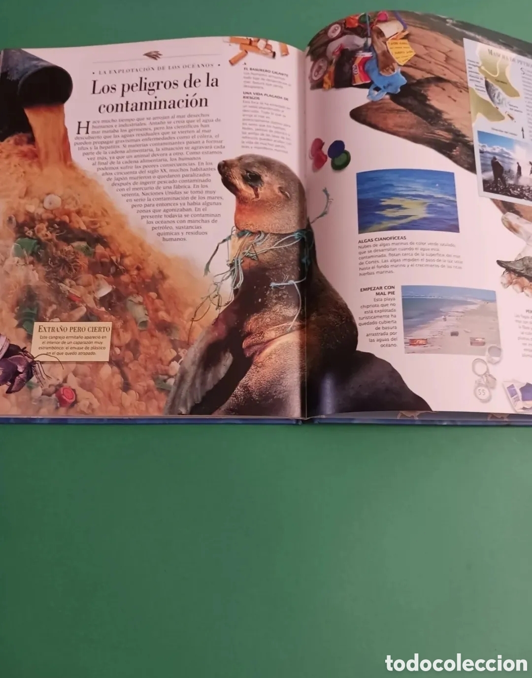 Libros de segunda mano: Libro La vida bajo el mar / Descubrimientos - Foto 4