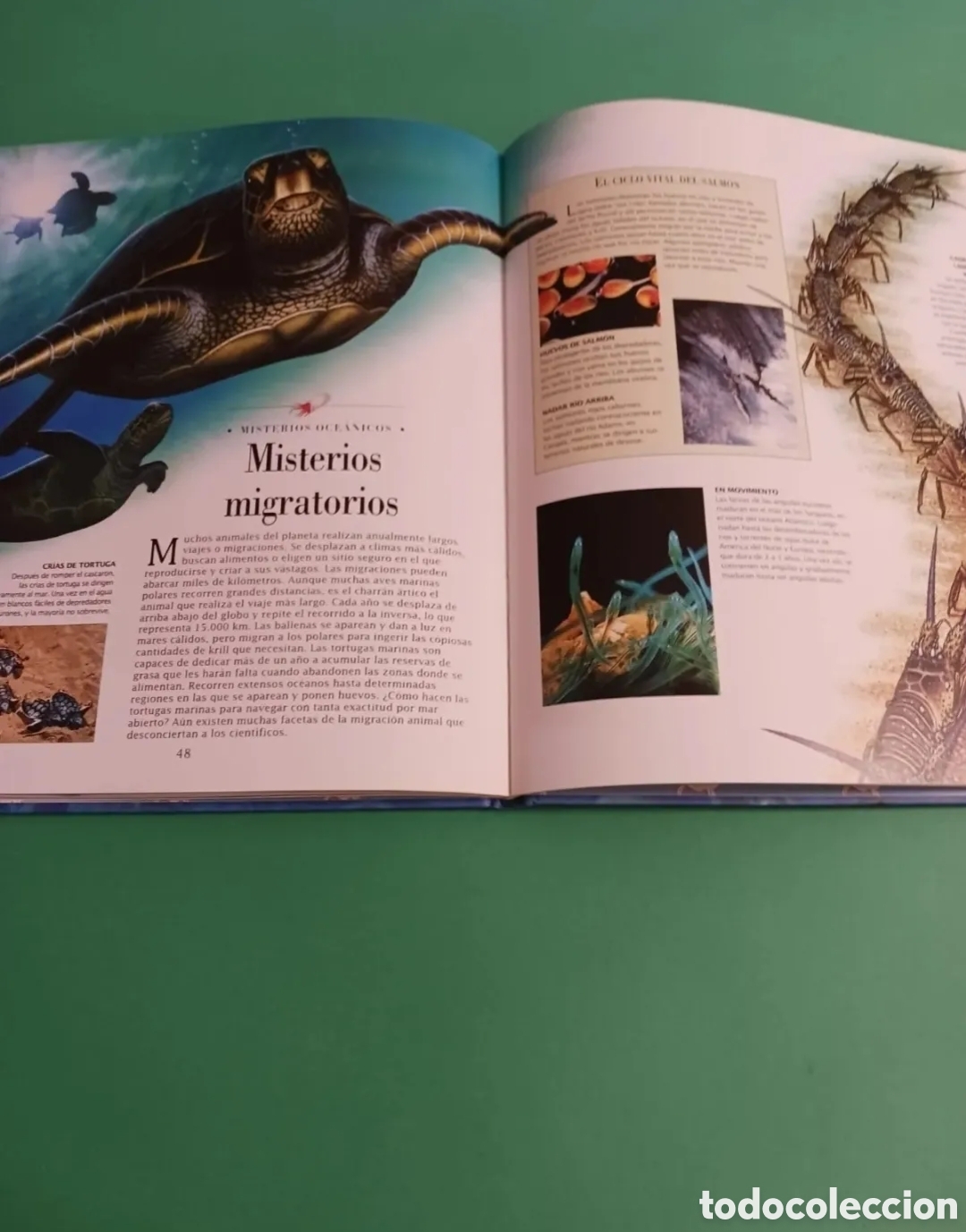 Libros de segunda mano: Libro La vida bajo el mar / Descubrimientos - Foto 5