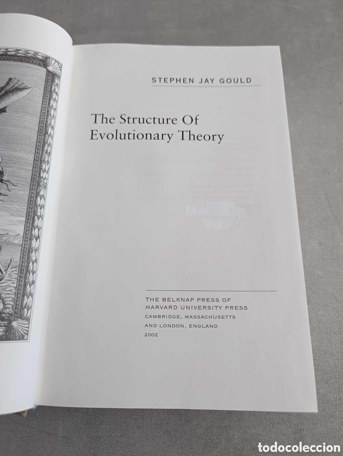 Libros de segunda mano: THE STRUCTURE OF EVOLUTIONARY THEORY (STEPHEN JAY GOULD) - 2002 - Foto 4
