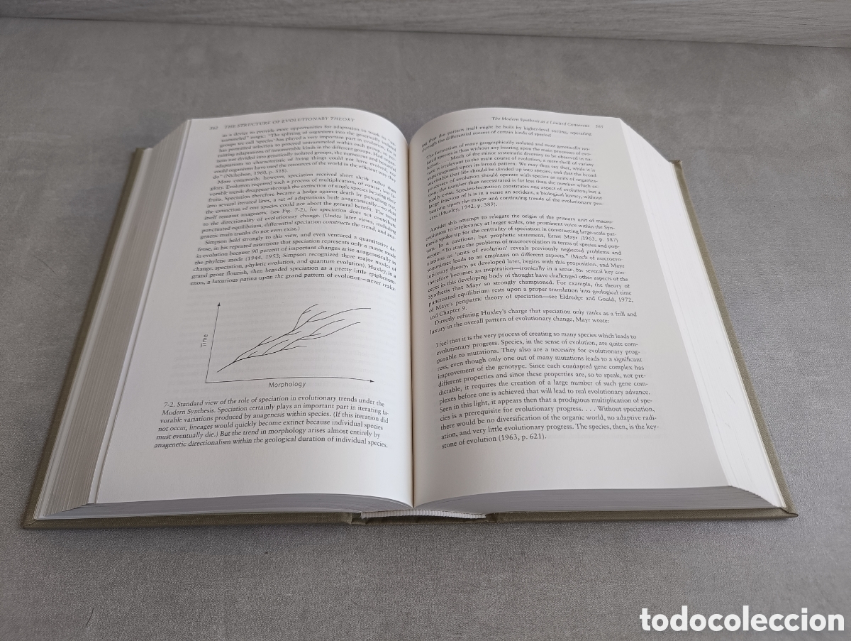 Libros de segunda mano: THE STRUCTURE OF EVOLUTIONARY THEORY (STEPHEN JAY GOULD) - 2002 - Foto 10