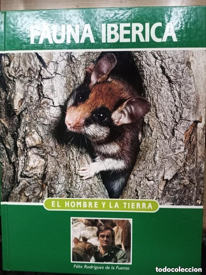 Libros de segunda mano: FAUNA IBERICA - FELIX RODRIGUEZ DE LA FUENTE -NUEVA EDICION SALVAT - N 2