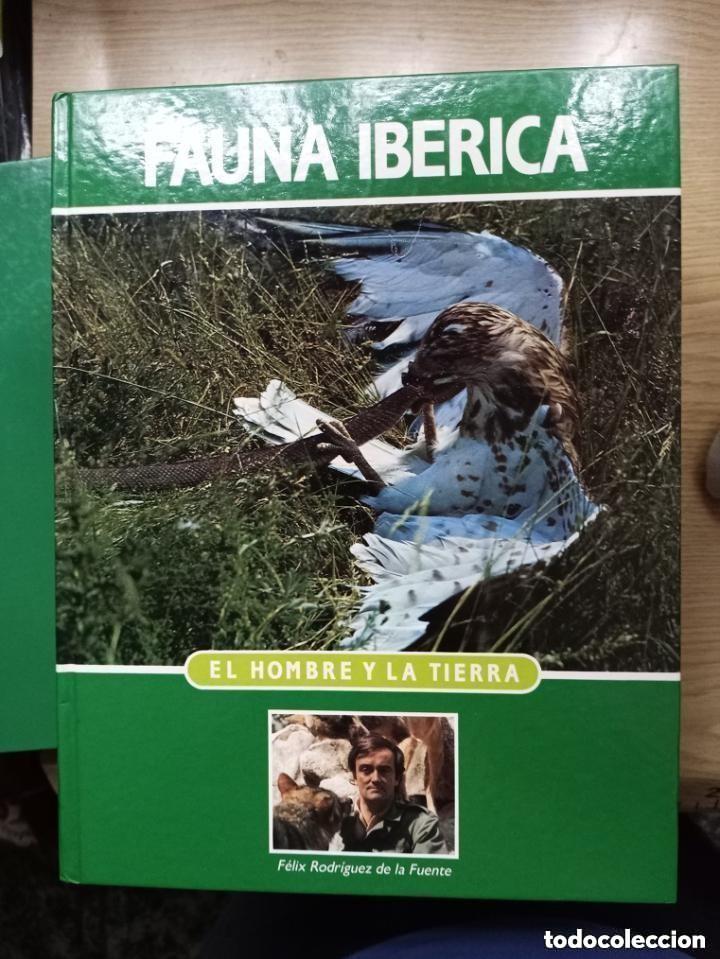 Libros de segunda mano: FAUNA IBERICA - FELIX RODRIGUEZ DE LA FUENTE -NUEVA EDICION SALVAT - N 3