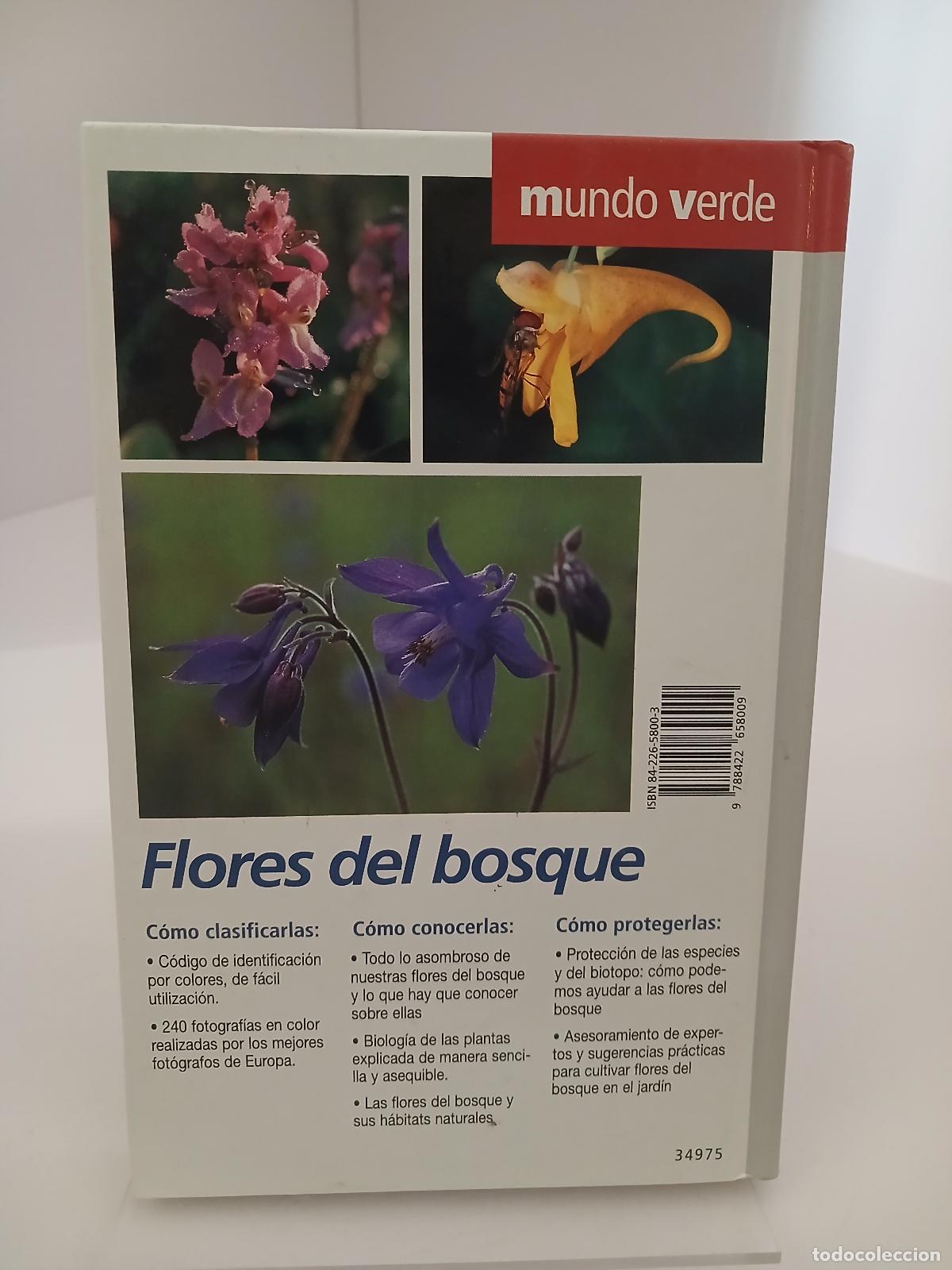 Libros de segunda mano: Flores del bosque - Bruno P. Kremer - Foto 2