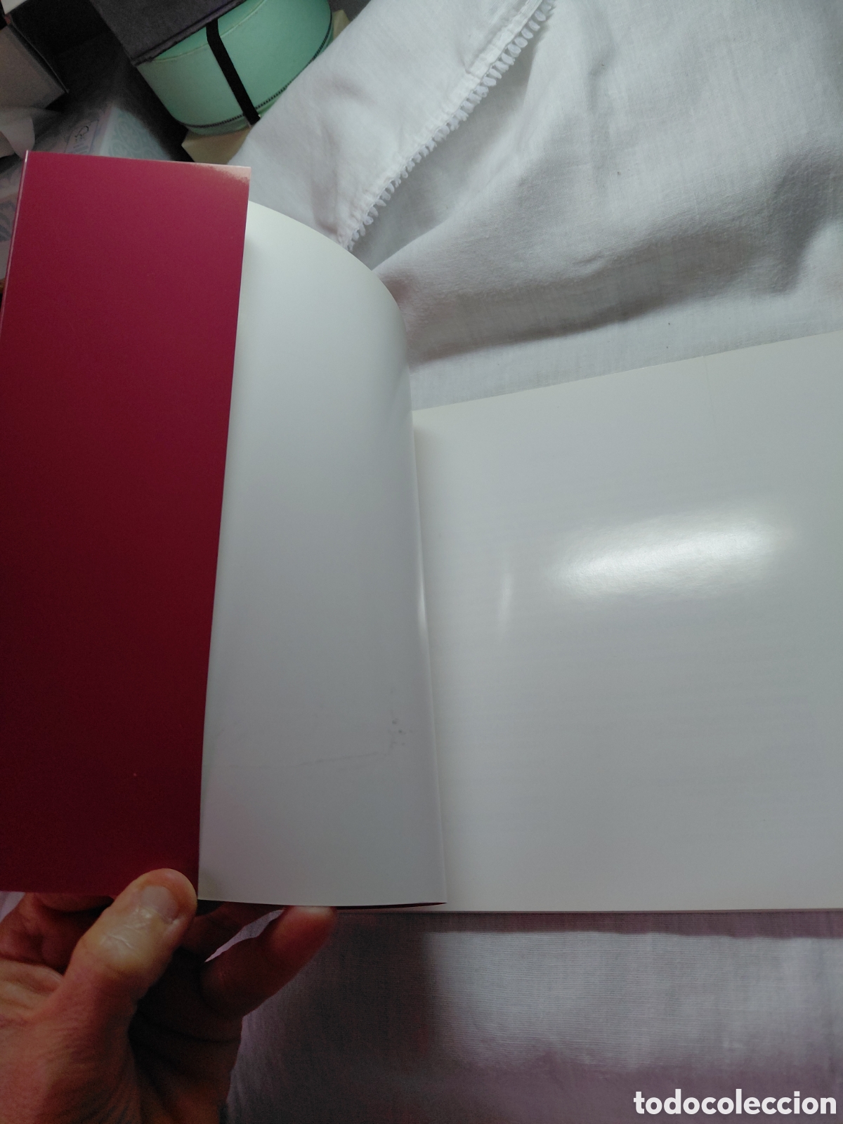 Libros de segunda mano: ARBOLES NOTABLES DEL CONCEJO DE GIJON.1990 - Foto 7