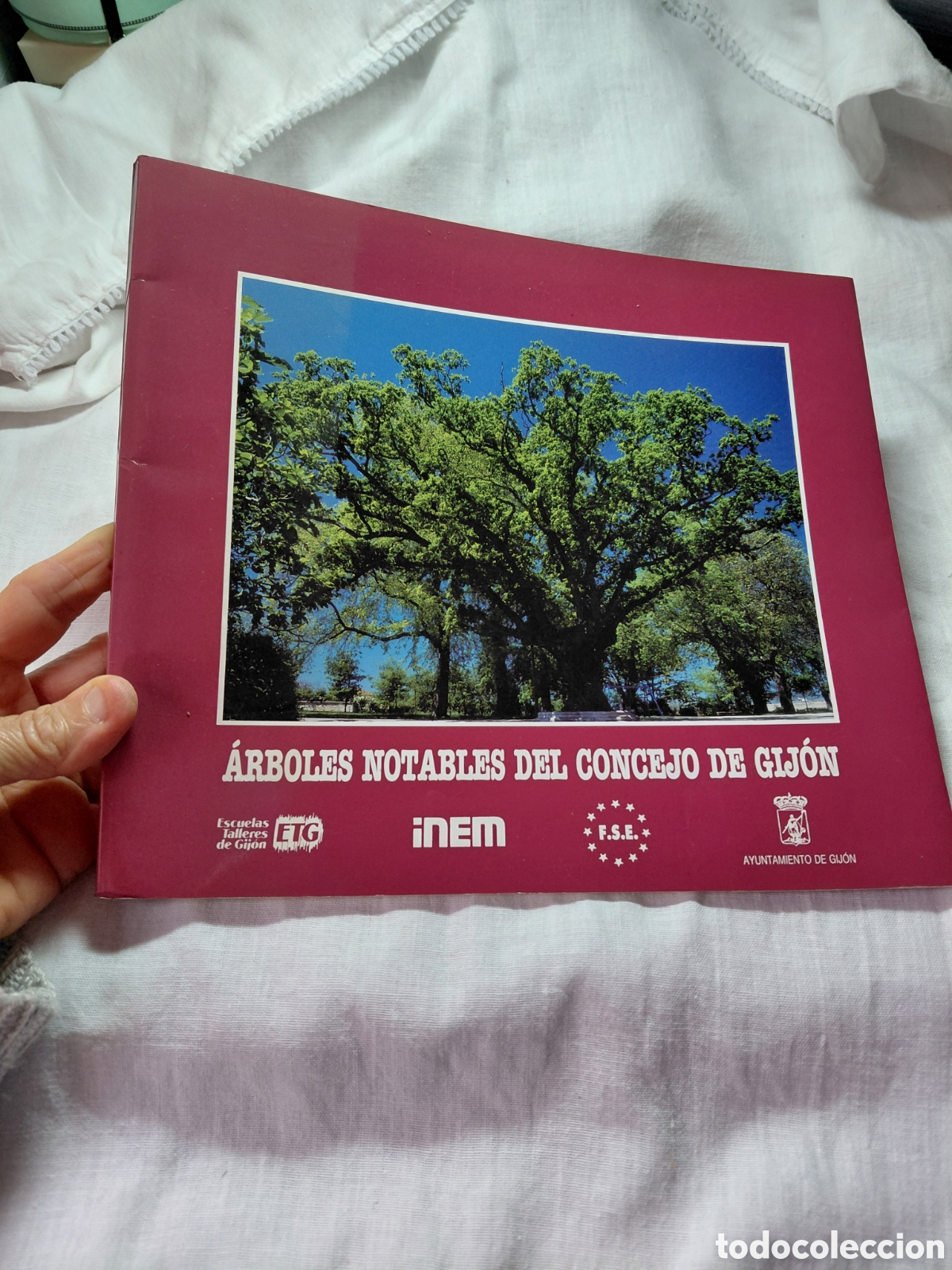 Libros de segunda mano: ARBOLES NOTABLES DEL CONCEJO DE GIJON.1990 - Foto 1