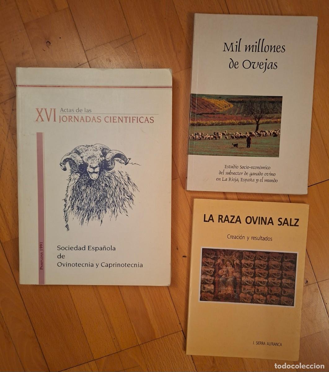 Gebrauchte B&uuml;cher: 3 LIBROS OVINOS - XVI JORNADAS CIENT&Iacute;FICAS, MIL MILLONES DE OVEJAS, LA RAZA OVINA SALZ