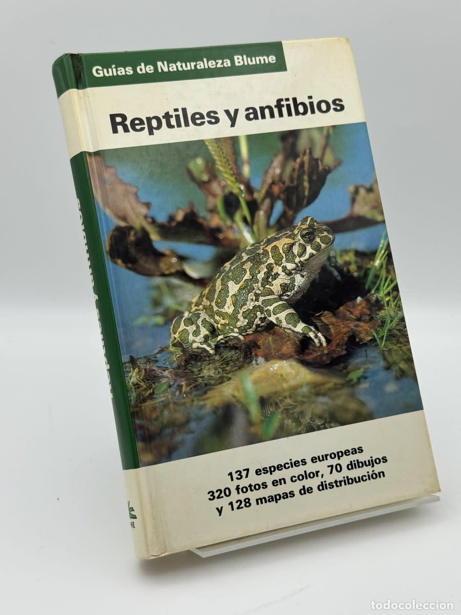 Libros de segunda mano: Reptiles y Anfibios - Gunter Diesener