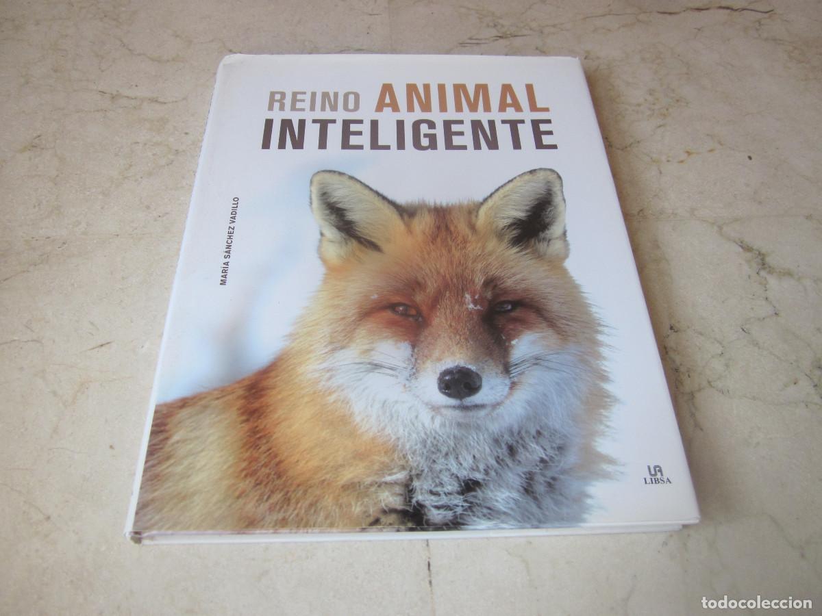 Libros de segunda mano: MARIA SANCHEZ VADILLO - REINO ANIMAL INTELIGENTE - LIBSA 2019