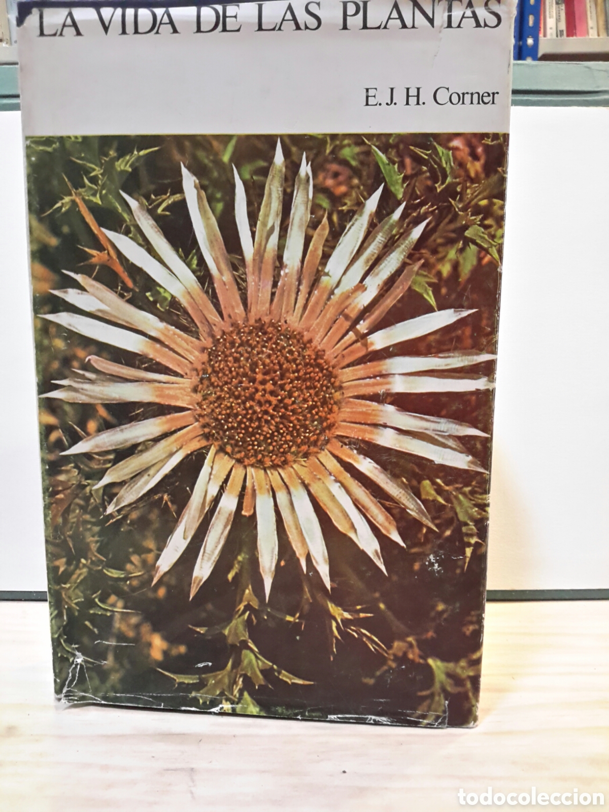 Libri di seconda mano: La vida de las plantas