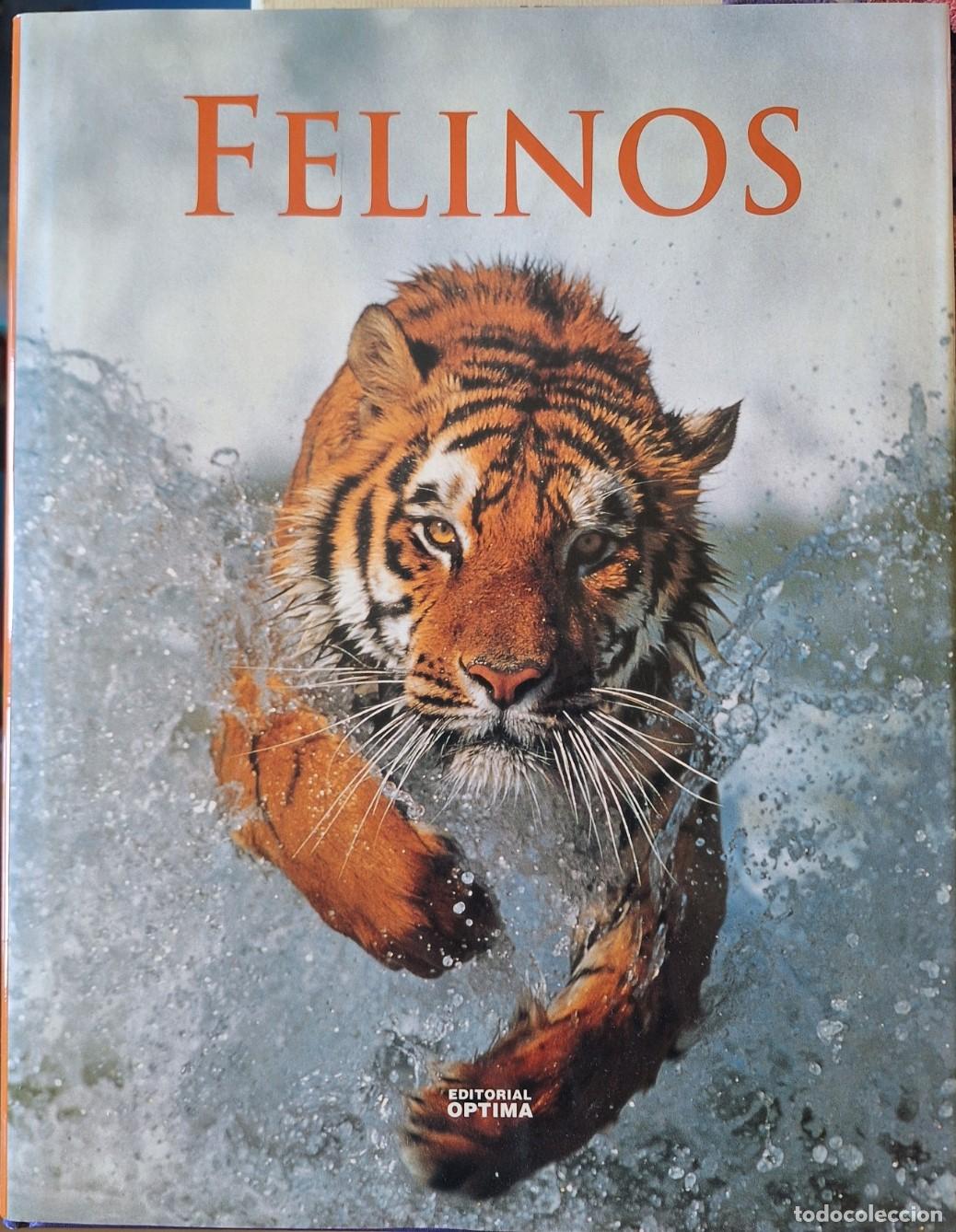 Libros de segunda mano: FELINOS. - SEIDENSTICKER/LUMPKIN, John/Dr. Susan.