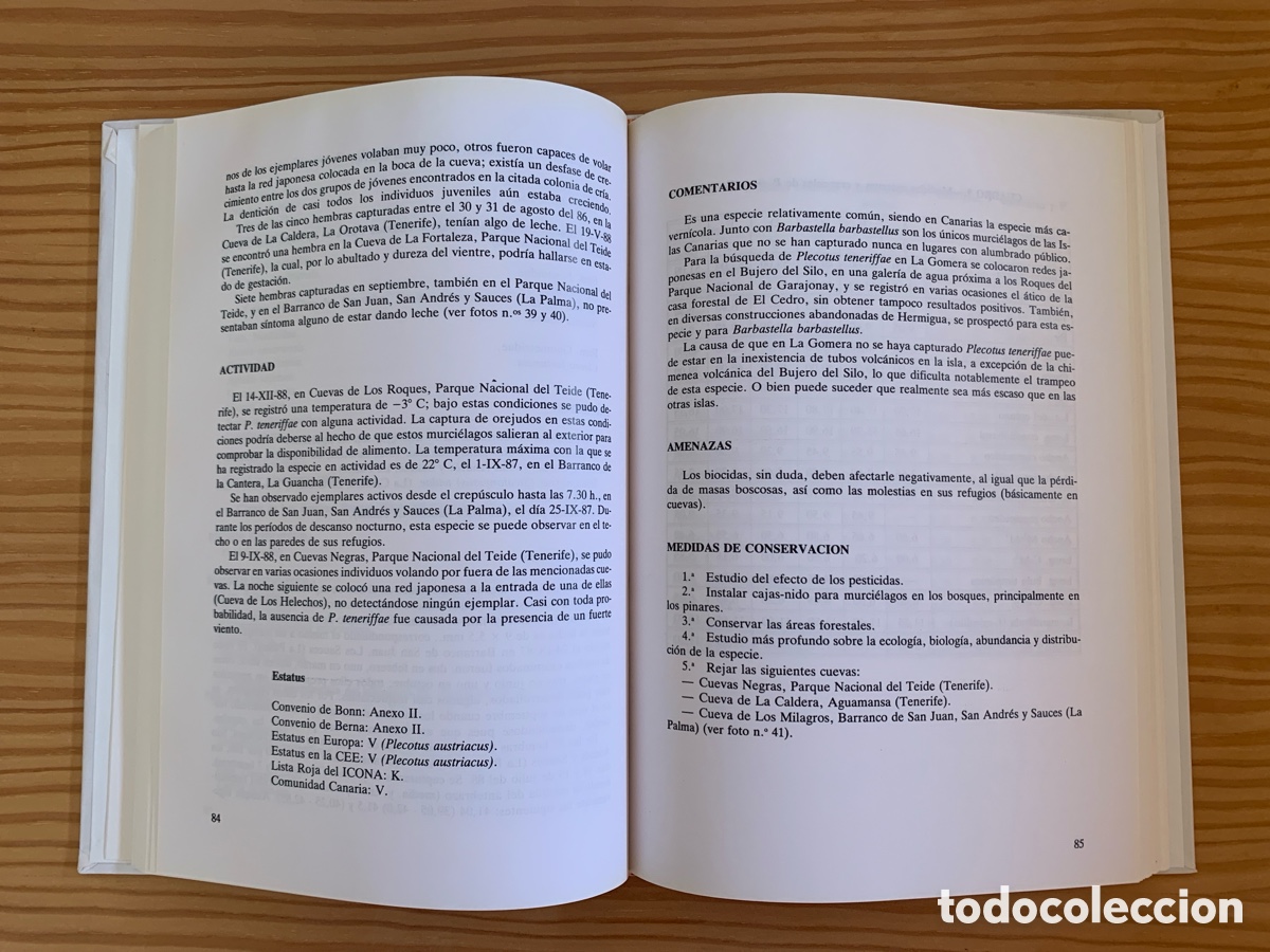 Libros de segunda mano: Murci&eacute;lagos de las Islas Canarias - Foto 3