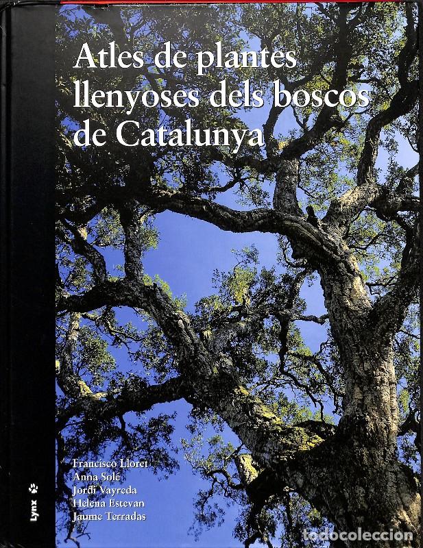 Gebrauchte B&uuml;cher: Atles de plantes llenyoses dels boscos de Catalunya - Francisco Lloret, Anna Sol&eacute; - Lynx Edicions