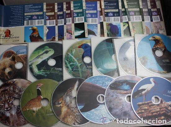 Libros de segunda mano: LA FAUNA IBERICA DE FELIX RODRIGUEZ DE LA FUENTE( COMPLETA): 12 CD roms