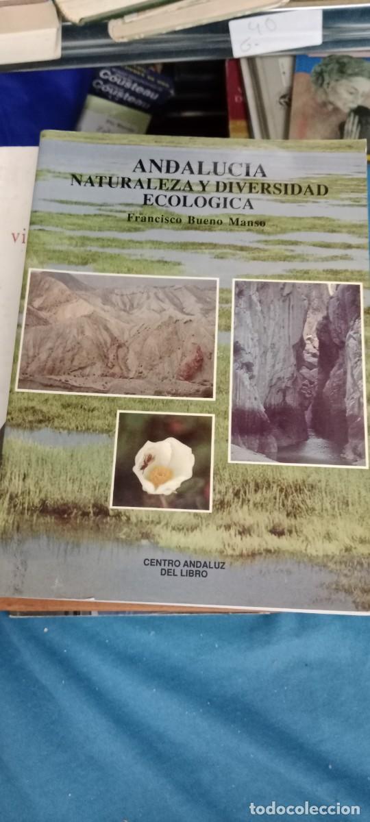 Libros de segunda mano: ANDALUC&Iacute;A. NATURALEZA Y DIVERSIDAD ECOL&Oacute;GICA - CALDER&Oacute;N ALONSO, BERNARDO BARTOLOM&Eacute; LIBRO GG-DNI