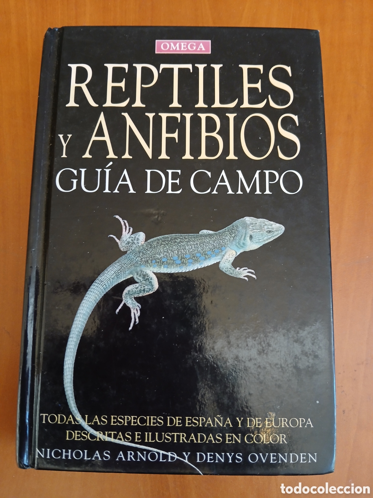 Libros de segunda mano: Reptiles y Anfibios, gu&iacute;a de campo. Nicholas Arnold y Denys Ovenden.